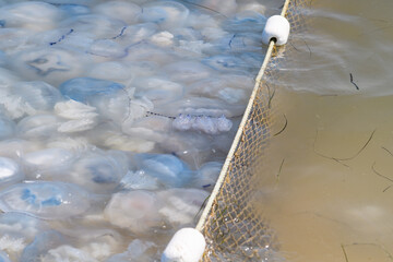 A protective structure against the invasion of huge jellyfish. The net keeps jellyfish in the Sea of Azov. Selective focusing.