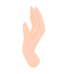 Woman's hand. Human hands, palms, body part. Vector illustration in flat style isolated on white background.