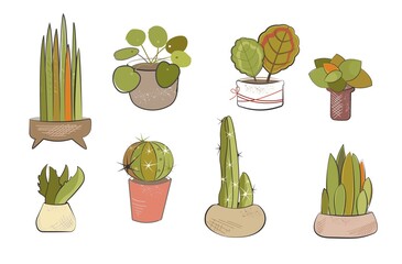 Set of home plants in pots. Succulents, and ficuses. Vector set green plant in pot