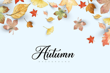 Hello autumn vector background design with autumn typography and maple leaves