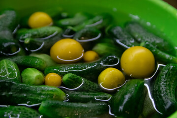 Fototapeta na wymiar Cucumbers and yellow tomatoes in water. Fresh vegetables