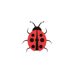 Ladybug icon design illustration template