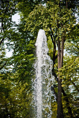 fountain in the park close-up in the open air