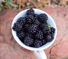 ripe blackberries in the summer in a glass
