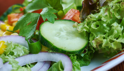 South Africa Garden Salad
