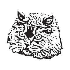 Vector of a cat face design on white background, Pet. Animals in eps 10