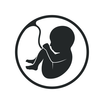 Fetus graphic icon. Embryo human sign in the circle isolated on white background. Vector illustration