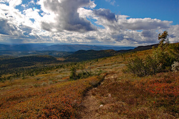 Autumn day in norwegian mountain