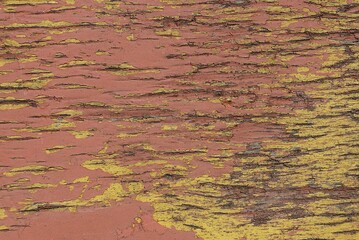 red yellow wooden texture from old shabby wood board in the wall