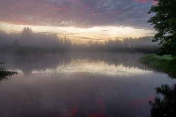 Park Pałacowy w Białowieży, Podlasie, Polska