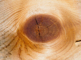 Close-up shot of a knot in a piece of wood