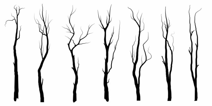 Set Black Branch Tree or Naked trees silhouettes. Hand drawn isolated illustrations.