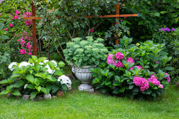 Garden with blooming flowers in the middle of the summer