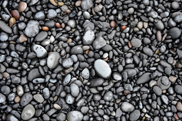 Fototapeta na wymiar Round pebbles on seashore