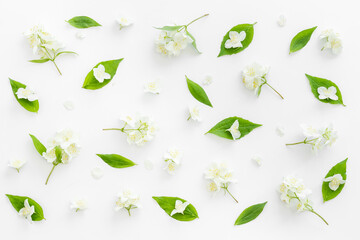 Fototapeta na wymiar White blossom jasmine flowers with green leaves flat lay