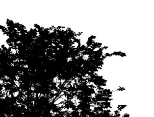 Background with deciduous tree. Vector illustration