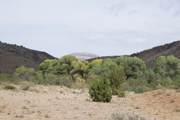 state desert landscape