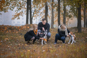 pet owners with siberian husky and beagle dogs have a nice time in the city park on an autumn morning