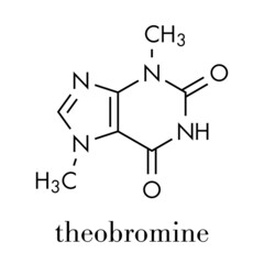 Theobromine (xantheose) chocolate alkaloid molecule. Present in cacao, tea, etc. Also used as drug. Skeletal formula.
