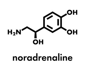 Norepinephrine (noradrenaline, norepi) hormone and neurotransmitter molecule. Skeletal formula.