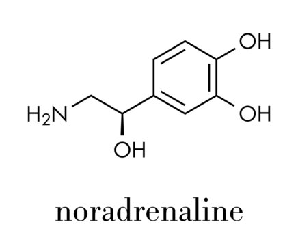 Norepinephrine (noradrenaline, norepi) hormone and neurotransmitter molecule. Skeletal formula.