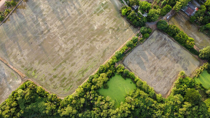 High angle view of field farm during prepare the soil before sowing rice.
Clay was Preparing to Sow Rice