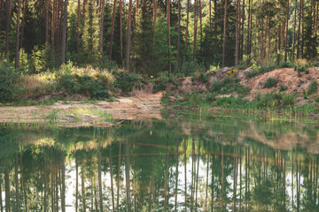 reflection of pine tree forest, sandy pond shore with grass in slallow gravel quarrie water. Evening light in summer	