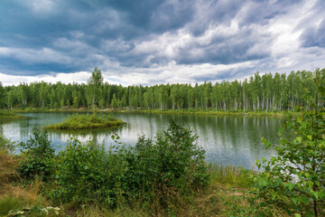 The surface of the water. Trees are reflected in the water. 
