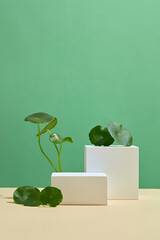Abstract white podium, Green background for product presentation, object placement, cosmetic podium...