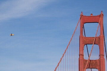 golden gate bridge city