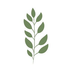 Green branch with leaves, vector illustration.