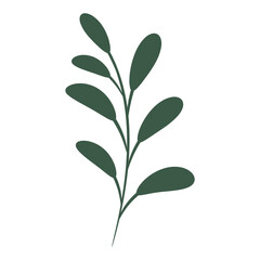 Green branch with leaves, vector illustration.