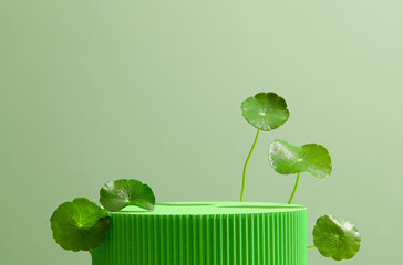 Empty podium greek style for cosmetic product presentation with natural centella asiatica (gotu...
