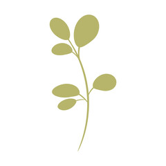 Obraz premium Green branch with small leaves