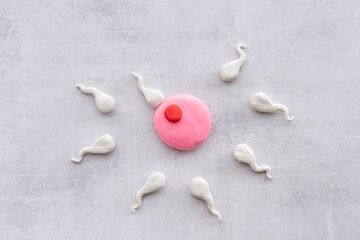 Sperms and woman ovum zygote. Conceiving a child concept