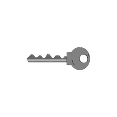key flat grey vector illustration