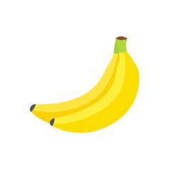 Two bananas bunch icon in flat style
