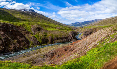 Fototapeta na wymiar Summer Iceland view on winding river among rocks shore of green grass.