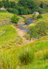 Portrait of the River Swale running through Keld in Upper Swaledale in the month of August,  with derelict field barn and Rowan tree.  Vertical.  Space for copy.