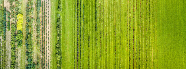 Aerial drone image of fields with diverse crop growth based on principle of polyculture and permaculture - a healthy farming method of ecosystem