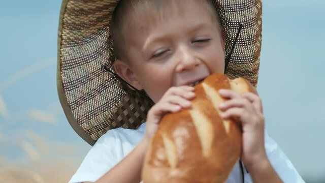 Happy childhood. Hungry boy bites soft fresh bread. Village bakery nearby. Little toddler in hat eats bread while standing in wheat field at sunny day. Summer country life and agriculture concept.