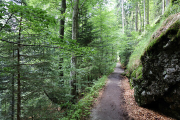 Landschaft Bayern - Bayrischer Wald / Landscape Bavaria - Bavarian Forest /