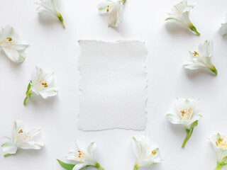 Naklejka na ściany i meble Fresh white flowers on a white background.