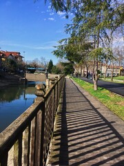 bridge over the river