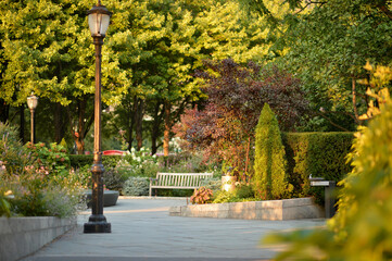 Obraz premium bench in beautiful green park, in summer