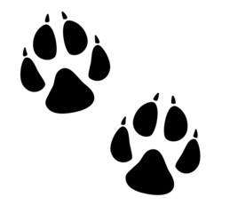 Fototapeta premium Isolated dog paw print vector illustration