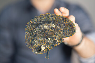 Creative background, the human brain on a blue background, the hemisphere