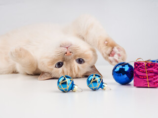 Cat play christmas balls. White adult cat playing with a Christmas decoration, postcard