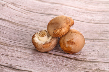 Raw brown champignons mushroom heap