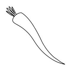 Obraz premium Contour ink doodle vegetable carrot. Digital art. Print for logo, menu, cafe, food, packaging, sticker